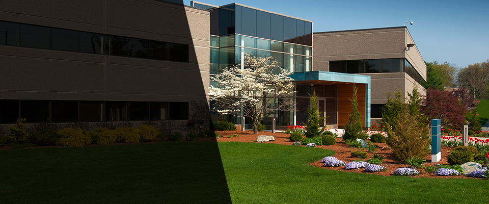 Genoa Landscapers