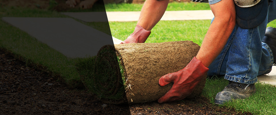Genoa Landscapers